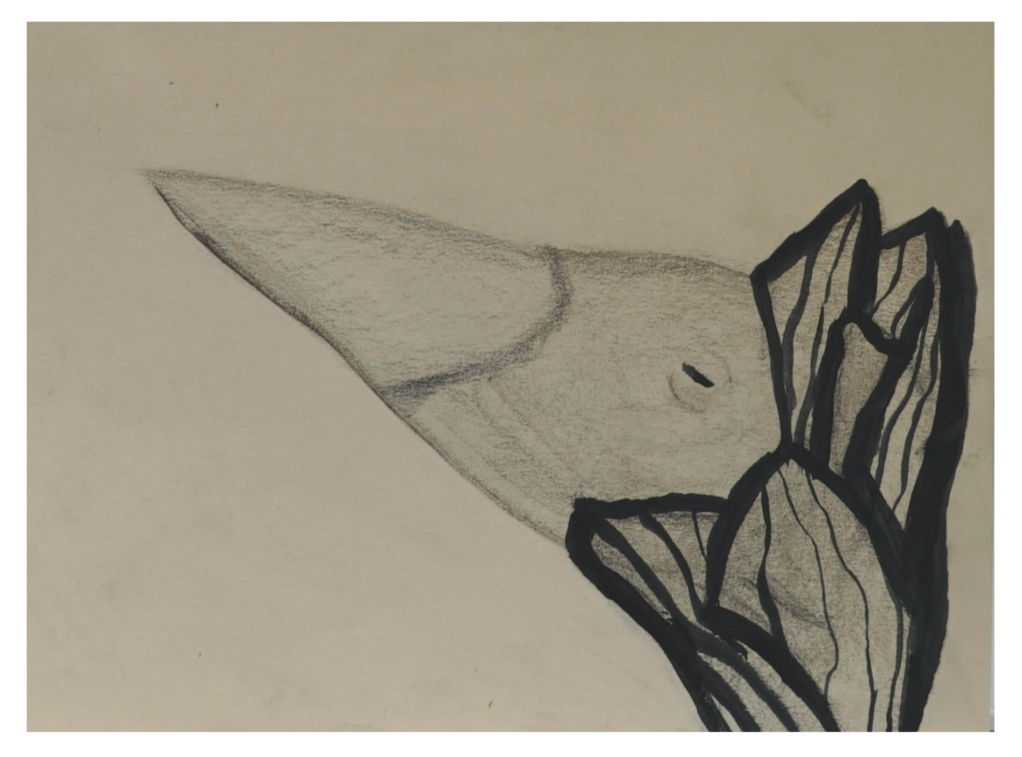 "Neglected by Evolution. Anser Canadensis Sapiens". Graphite and wax on manila paper. 2024.