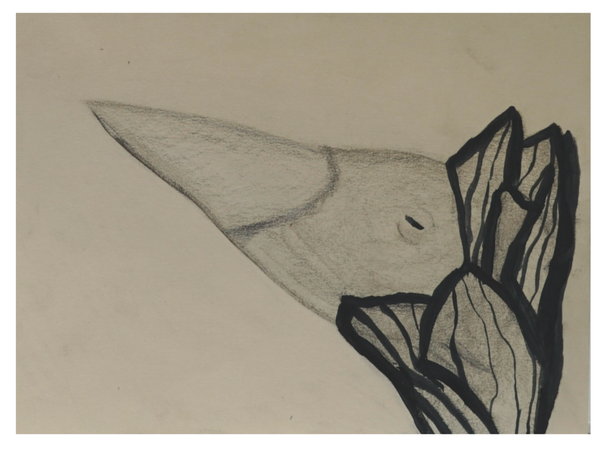 "Neglected by Evolution. Anser Canadensis Sapiens". Graphite and wax on manila paper. 2024.